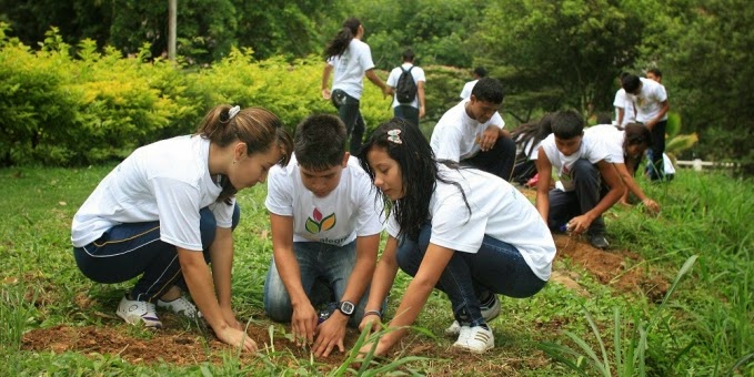 Nota sobre Conciencia ecológica