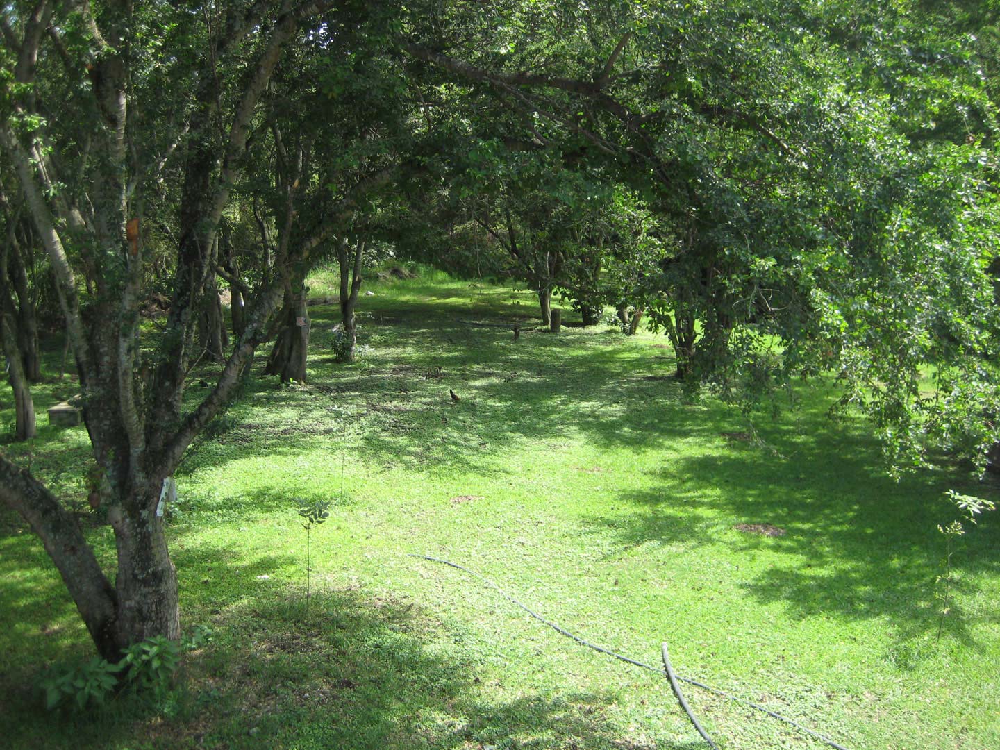 Nota sobre Campamento en Balneario Las Huertas