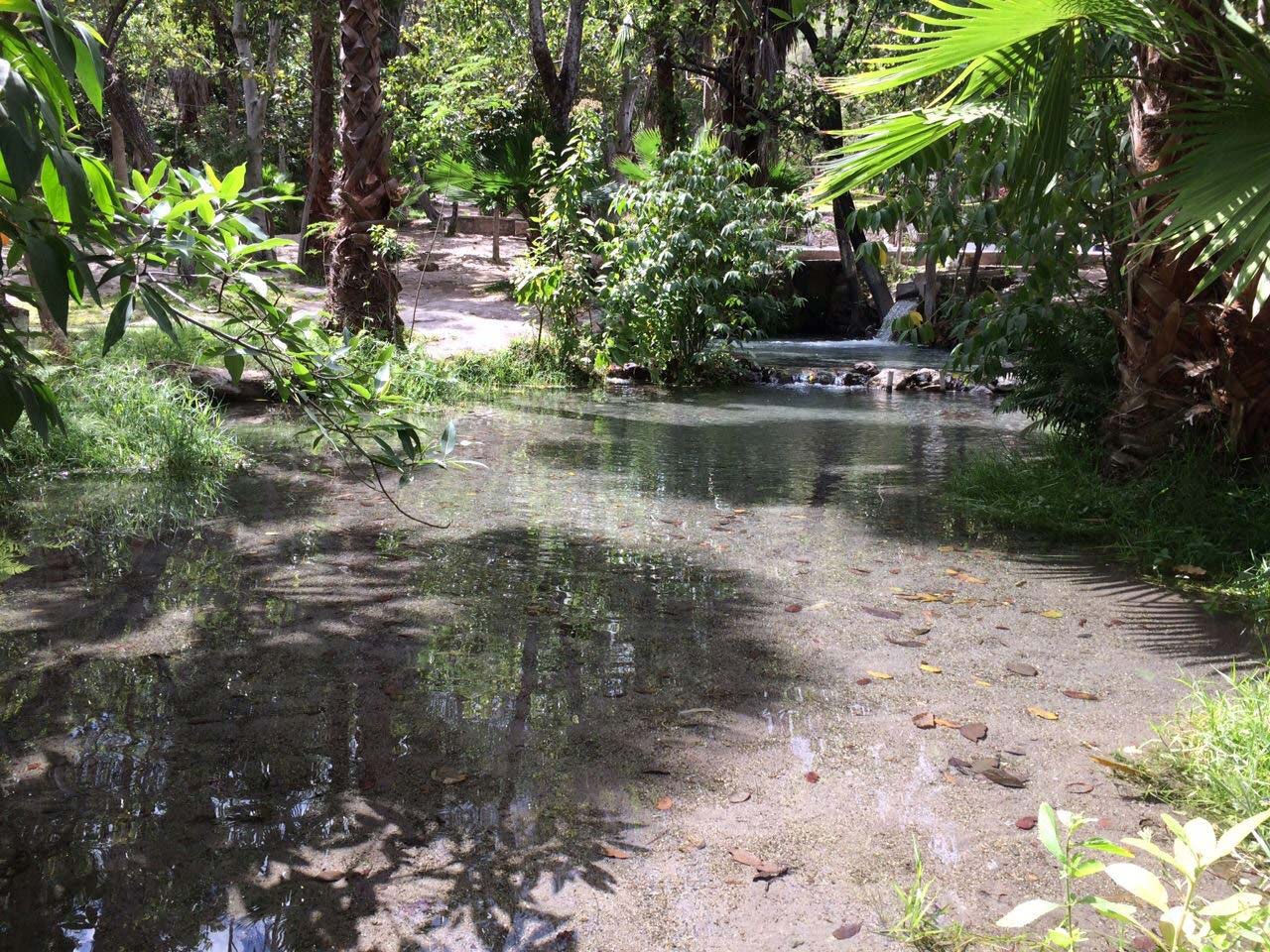 Nota sobre Campamento en Balneario El Almeal