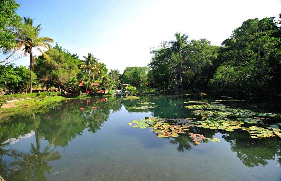 Nota sobre Campamento en Balneario El Almeal