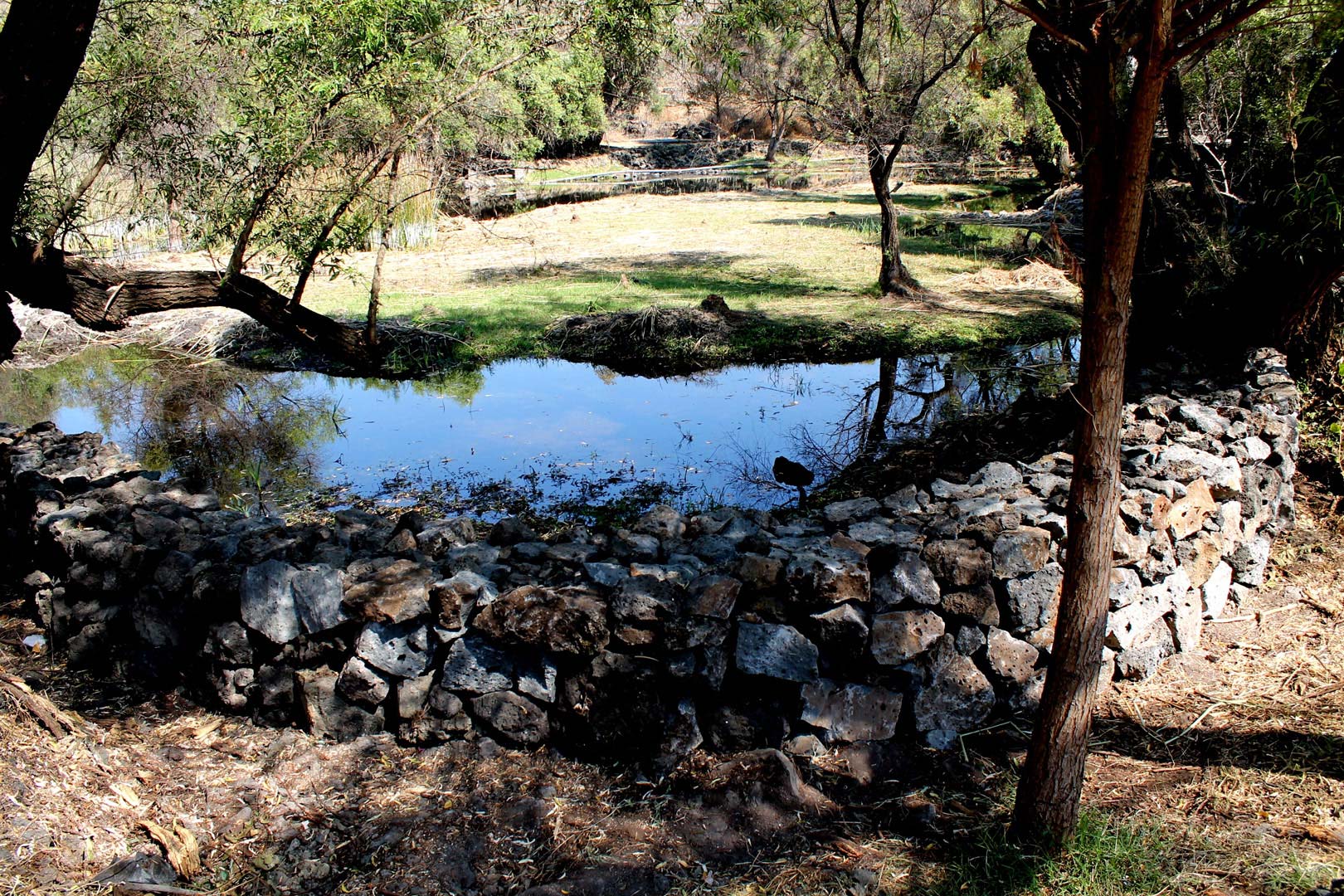 Nota sobre Campamento en Balneario El Texcal