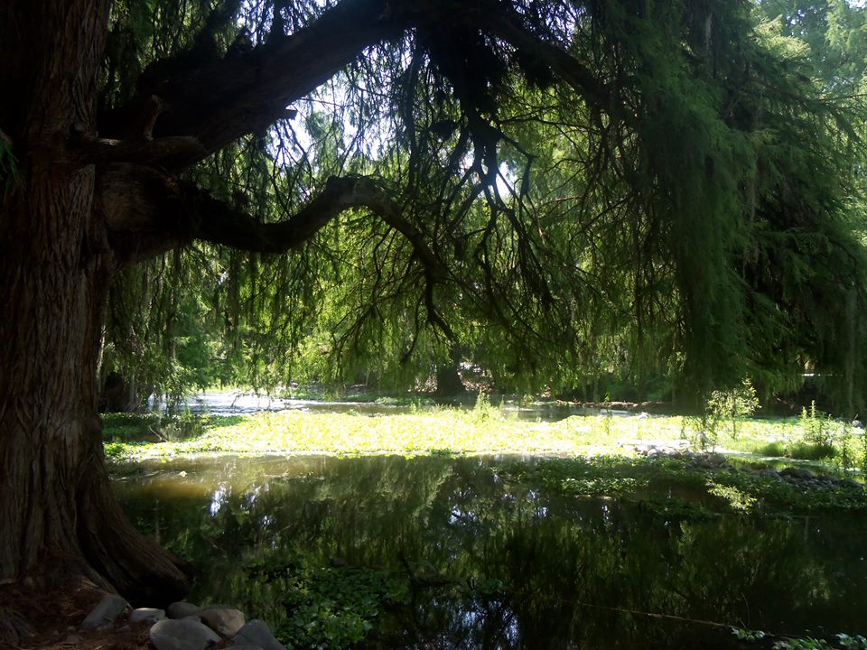 Nota sobre Campamento en Balneario El Huemac