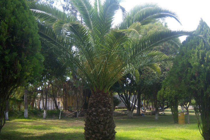 Nota sobre Campamento en Balneario La Fuente Los Reséndiz