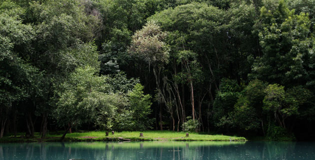 Nota sobre Campamento en Parque Ecoturístico Xindho