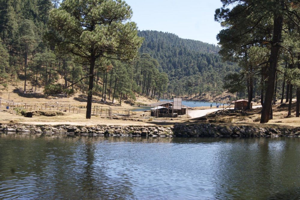 Nota sobre Campamento en Balneario Nezahualcoyotl