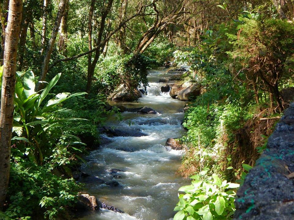 Nota sobre Campamento en Balneario El Salitre