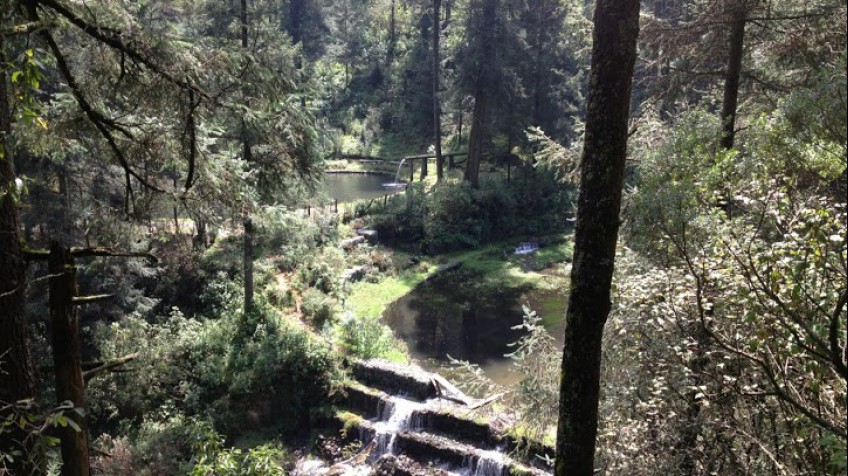 Nota sobre Balneario Parque Nacional Fuentes Brotantes