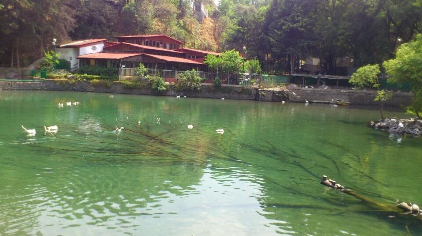 Nota sobre Balneario Parque Nacional Fuentes Brotantes