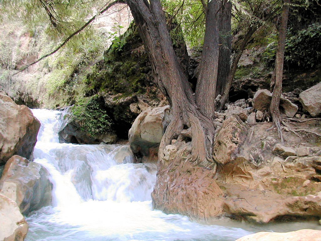 Nota sobre Campamento Cuicatlán