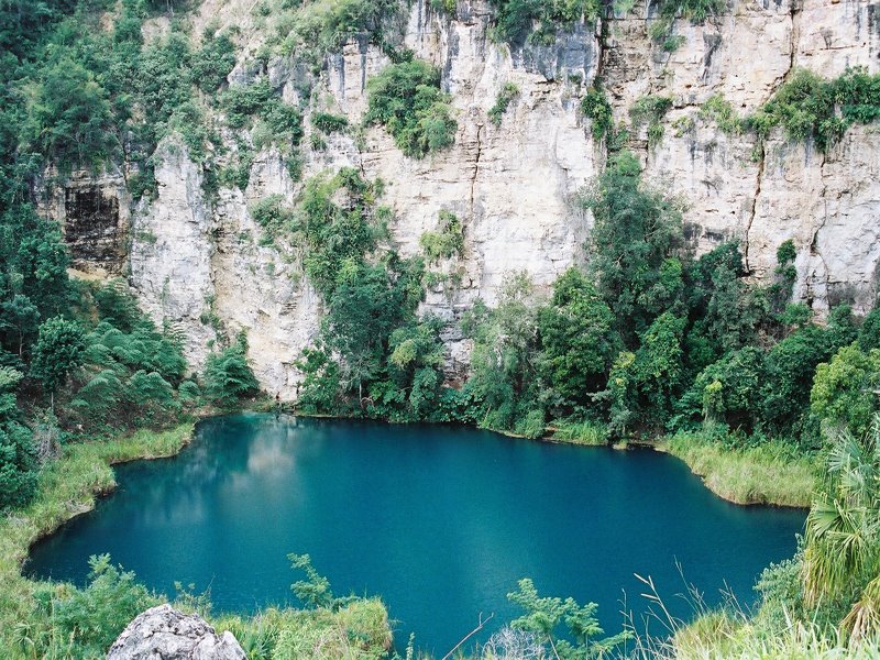 Nota sobre Balneario Cenote Cocodrilo Dorado