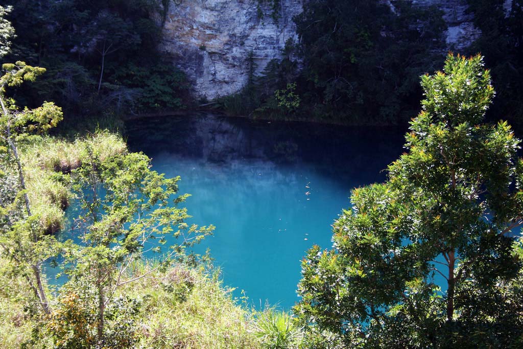 Nota sobre Campamento en Cenote del Cocodrilo Dorado