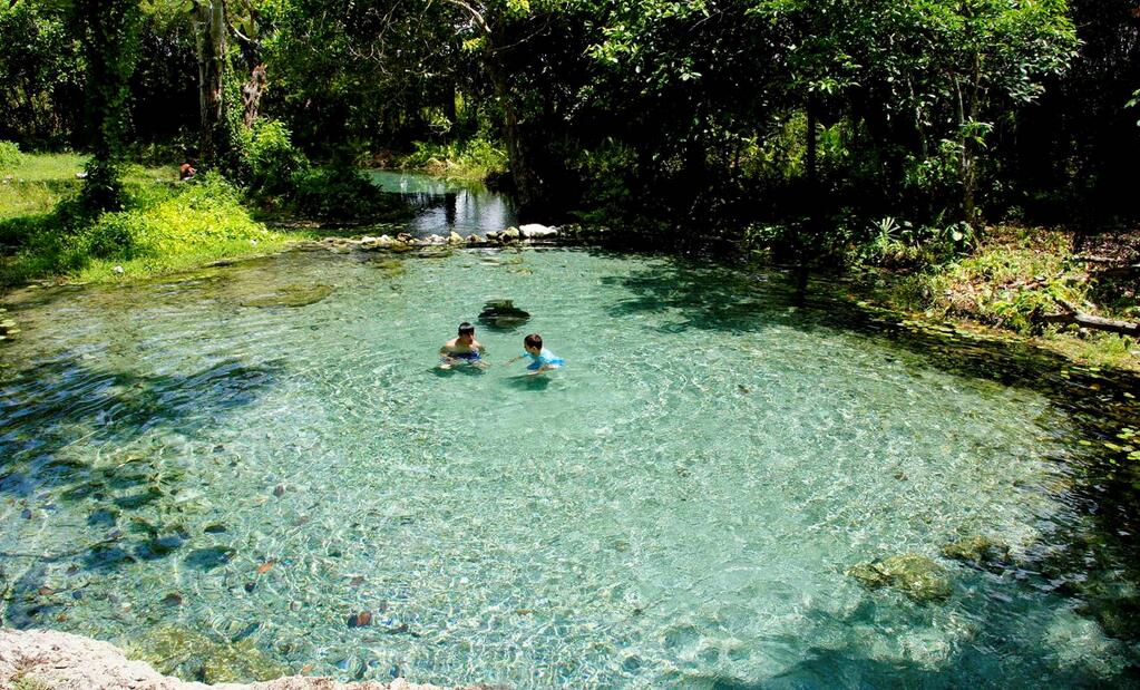 Nota sobre Balneario Cenote Cocodrilo Dorado