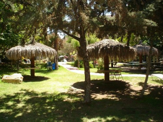 Nota sobre Campamento en Pete's Camp