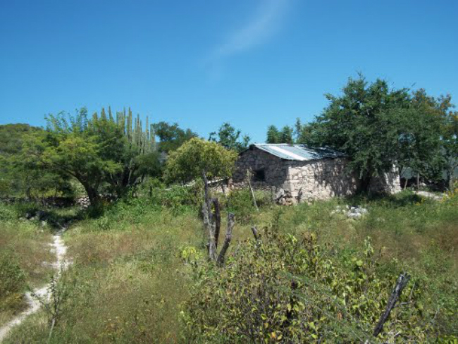 Nota sobre Campamento en Rancho Los Manzanos