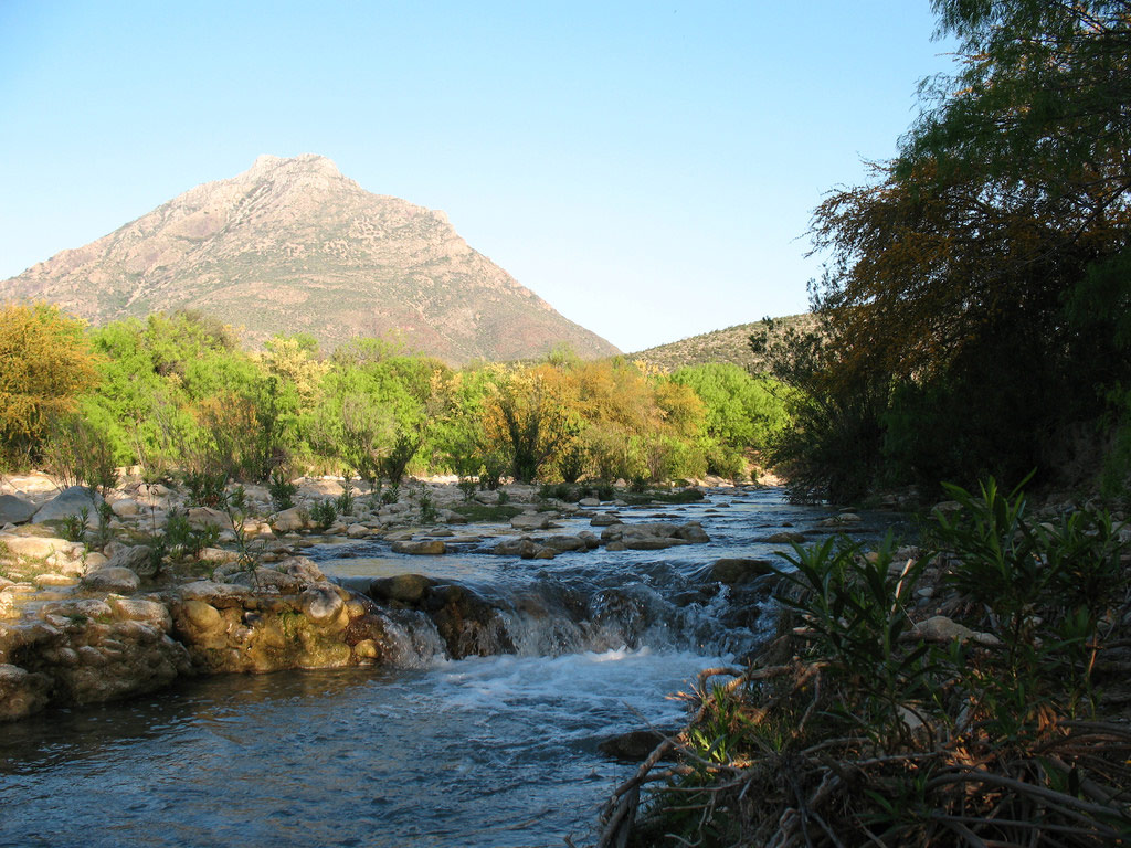 Nota sobre Campamento en Valle de Cuatro Cienegas