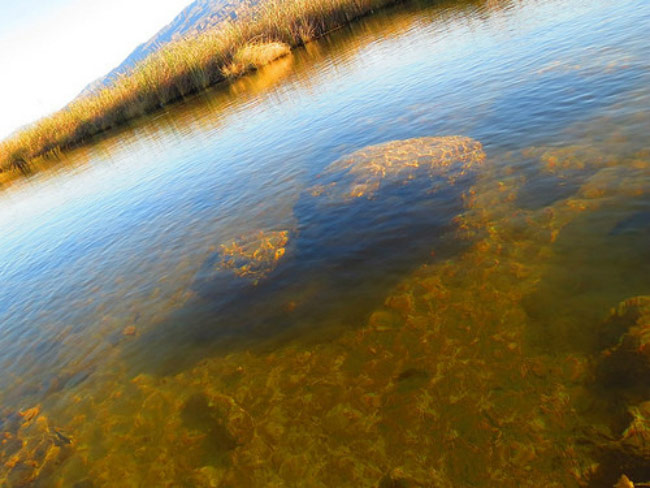 Nota sobre Balneario Valle de Cuatrocienegas