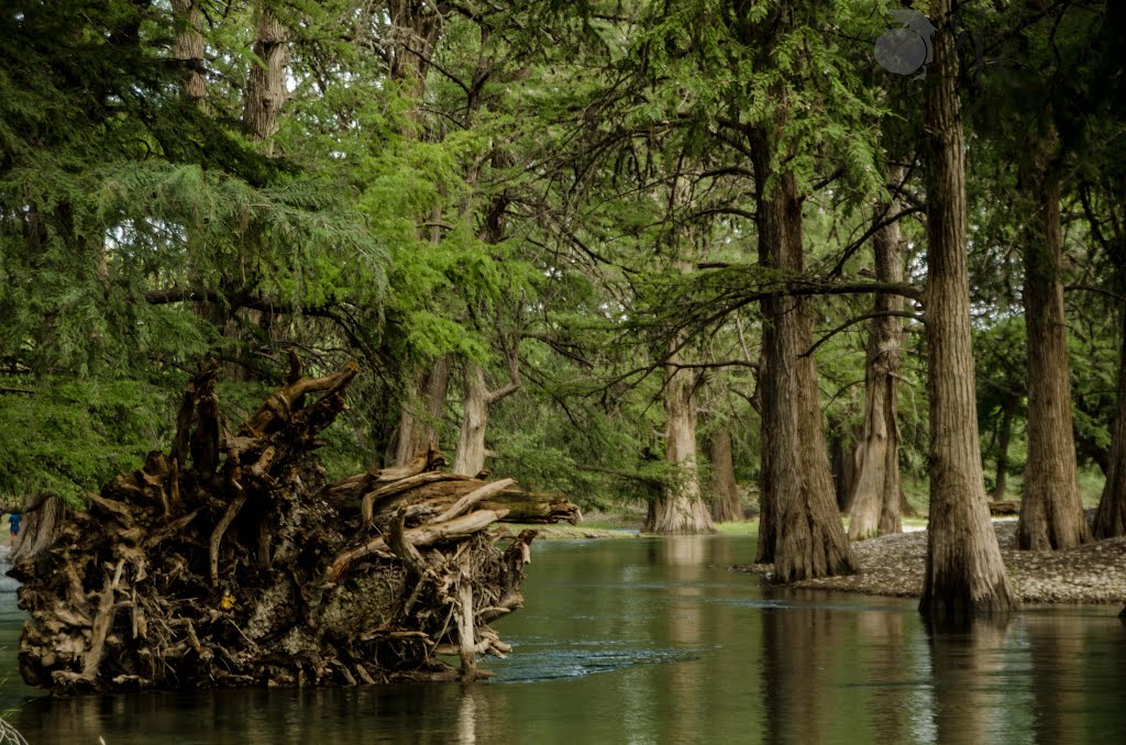 Nota sobre Balneario Rio Sabinas