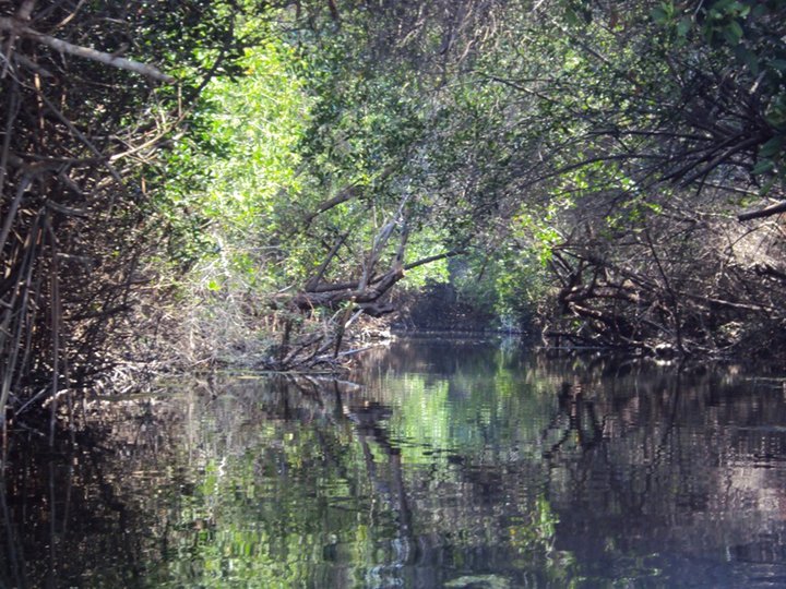 Nota sobre Campamento en Estero El Chupadero