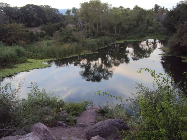 Nota sobre Balneario El Palapo