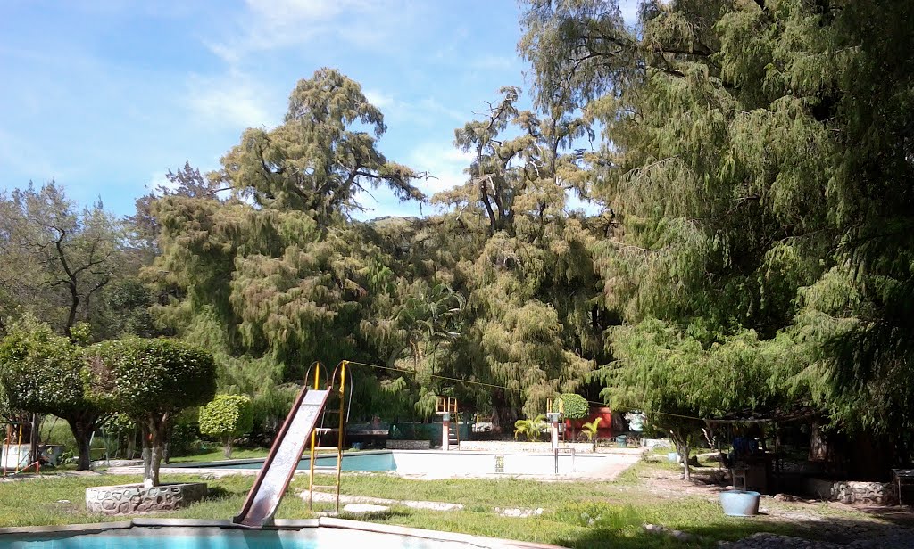 Nota sobre Balneario Maria Luisa