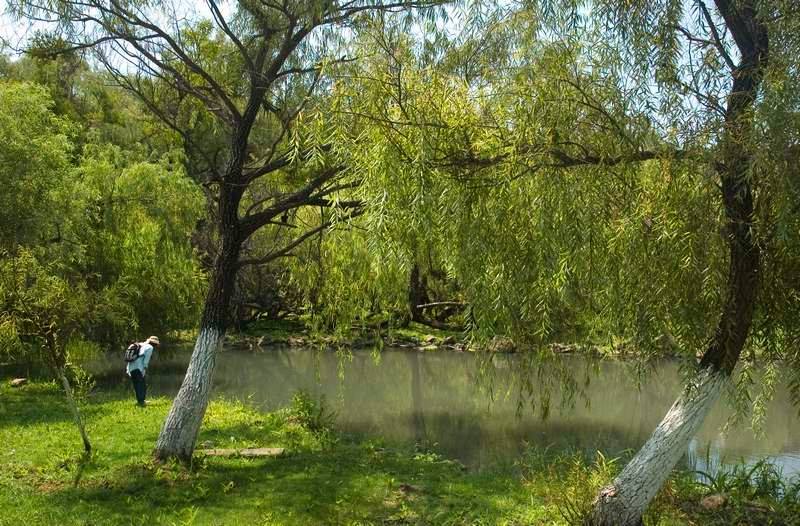 Nota sobre Campamento en Balneario Las Jaras