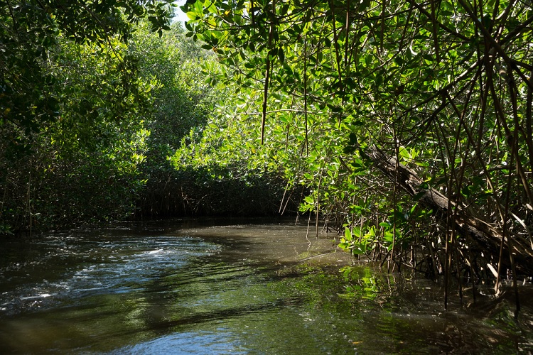 Nota sobre Balneario El Mamey