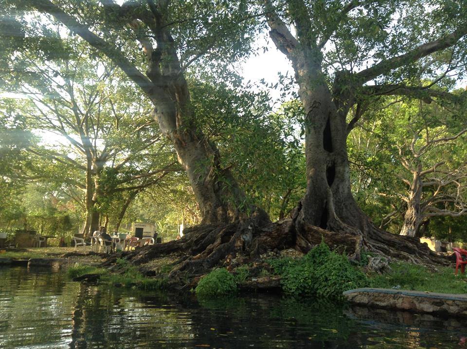 Nota sobre Balneario La Higuera