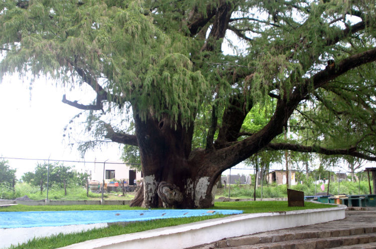 Nota sobre Balneario Sabino Gordo