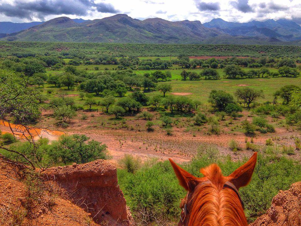 Nota sobre Campamentos Alianzas Culturales