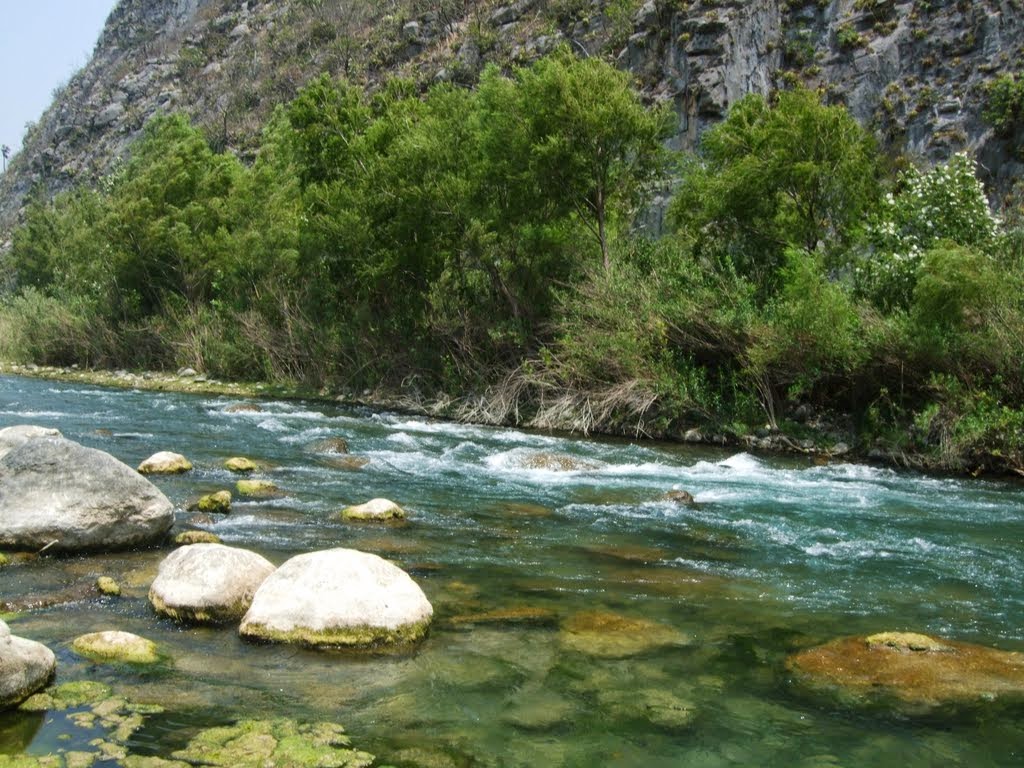 Nota sobre Balneario Rio Guayalejo