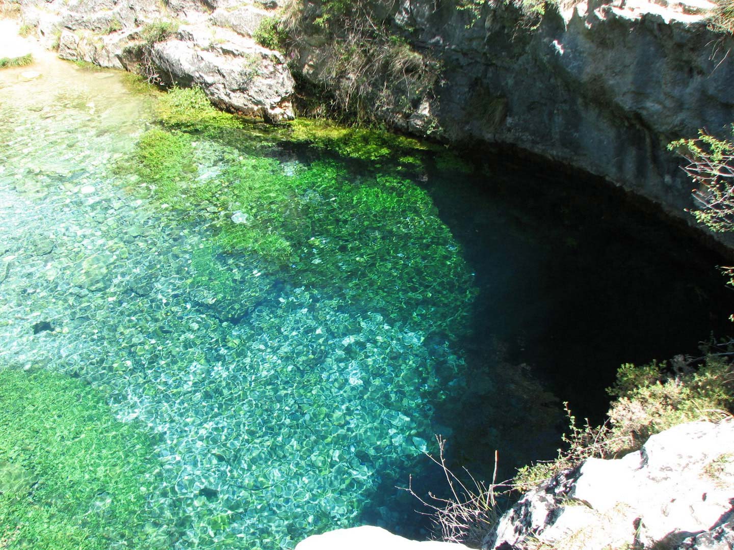 Nota sobre Balneario Rio Guayalejo