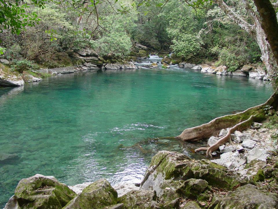 Nota sobre Campamento en La Bocatoma