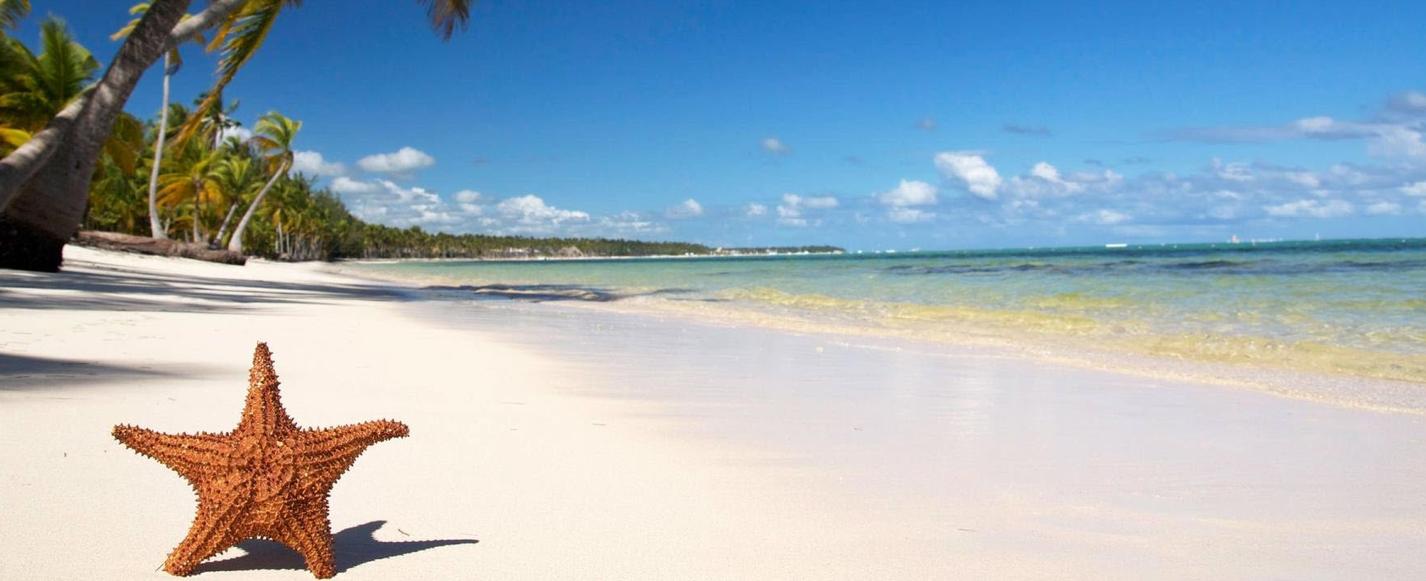 Nota sobre Playas México, encuentra la playa de tus sueños fácilmente