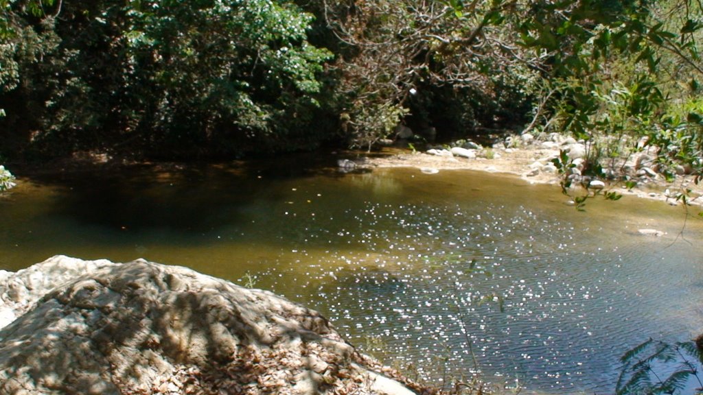 Nota sobre Balneario Poza El Zacaton