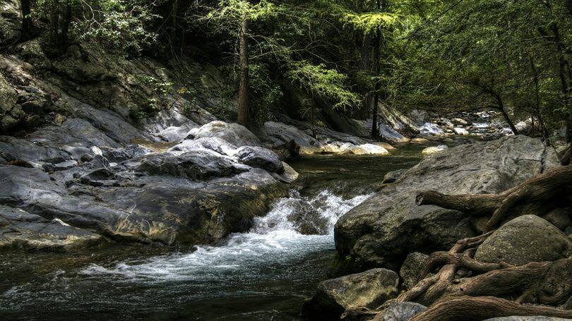 Nota sobre Campamento en Los Troncones