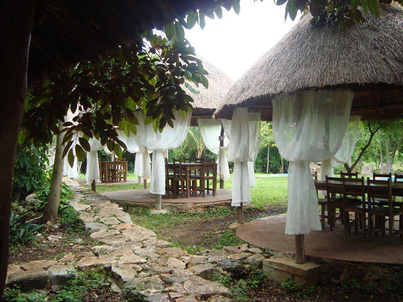 Nota sobre Campamento en Cenote San Ignacio