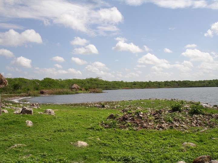 Nota sobre Campamento en Cenote San Ignacio