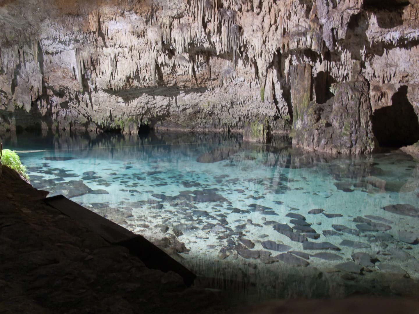 Nota sobre Balneario Cenote Tankach Ha