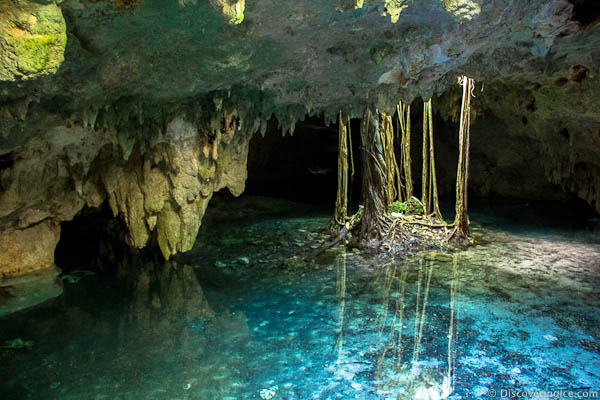 Nota sobre Balneario Cenote Dos Ojos