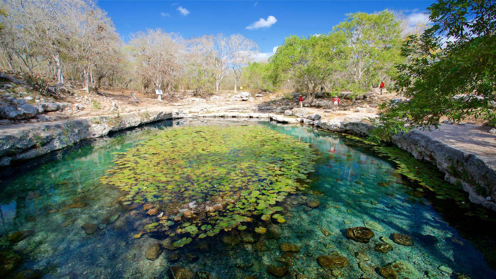 Nota sobre Balneario Cenote Misterio Maya