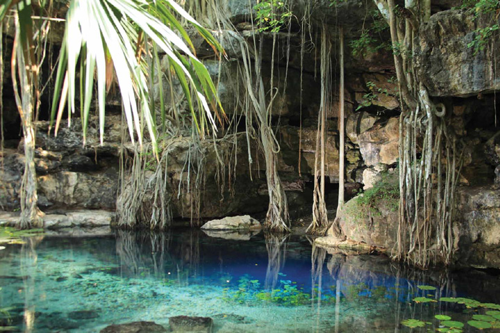 Nota sobre Balneario Cenote Dzombakal