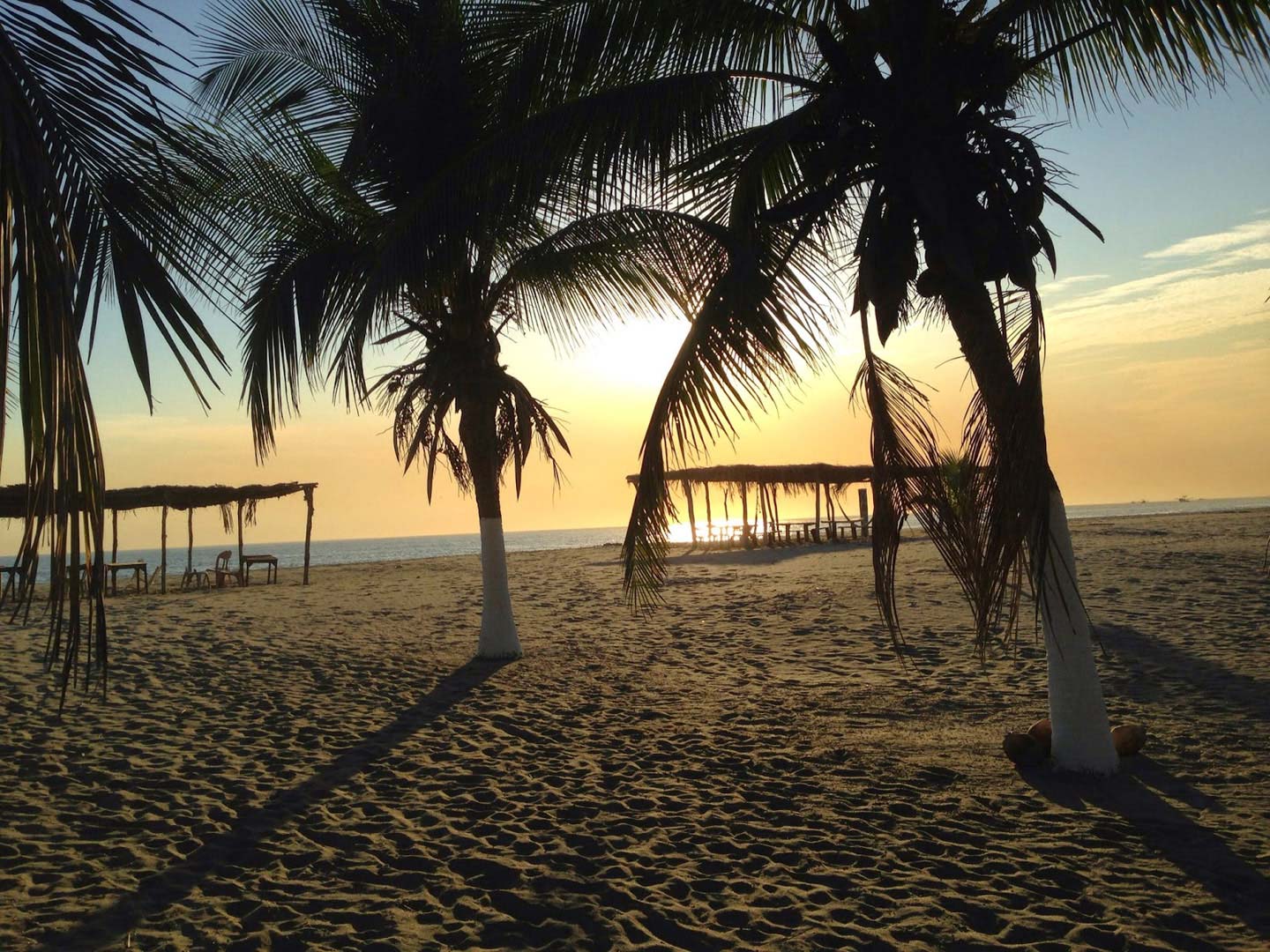 Nota sobre Las mejores playas mexicanas para la pesca