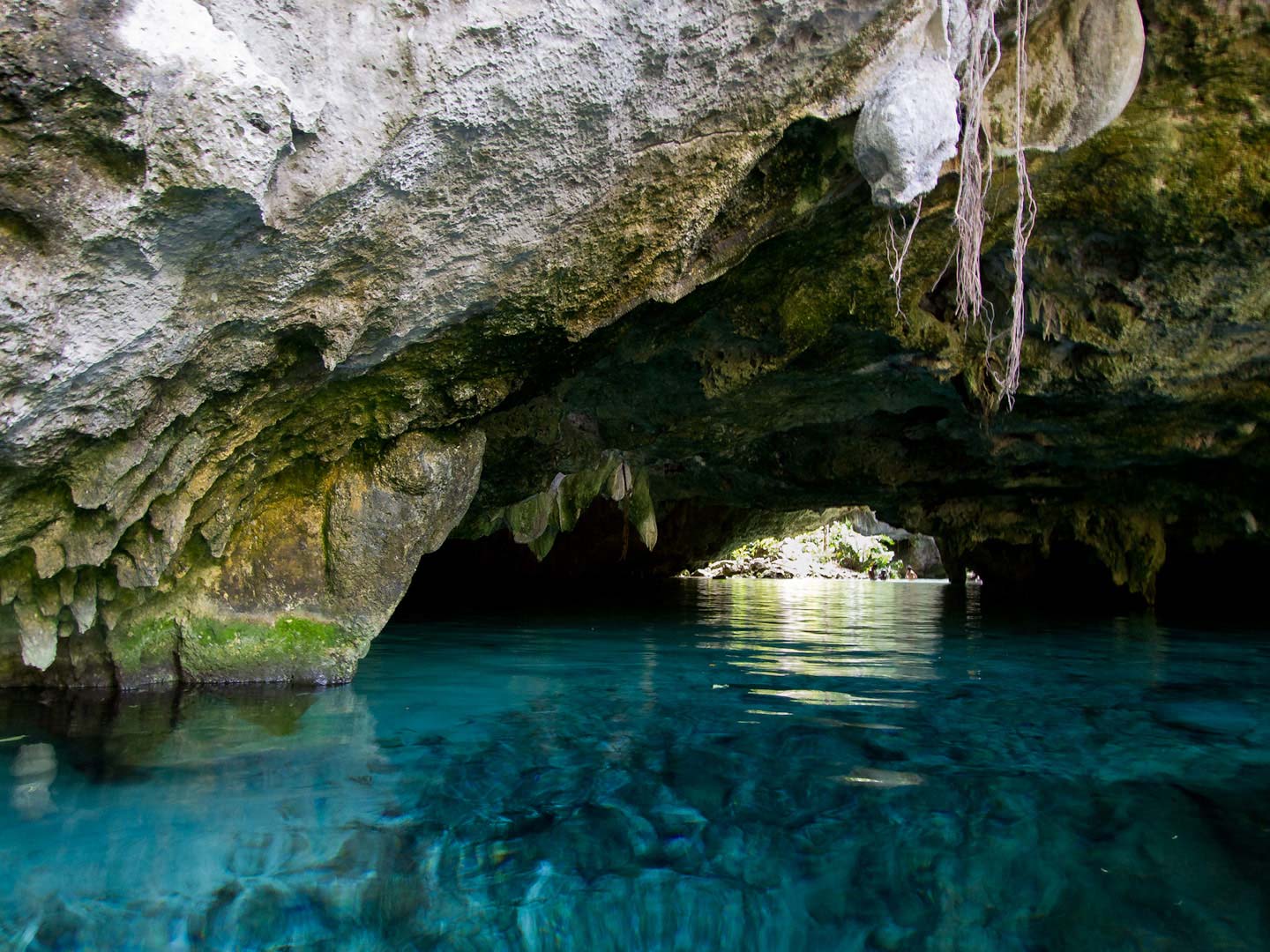 Nota sobre Las mejores excursiones desde Playa del Carmen 