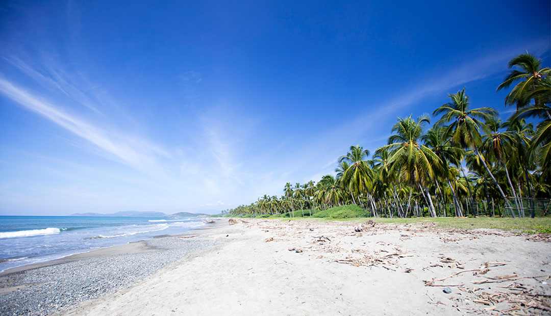 Nota sobre Playas imperdibles en Ixtapa-Zihuatanejo