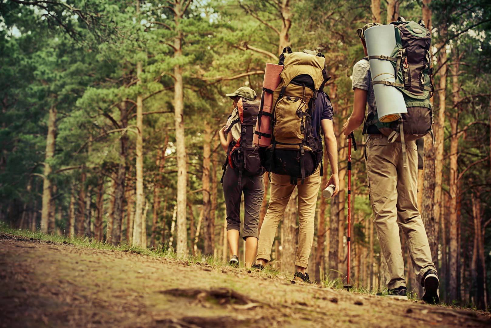 Nota sobre 7 tips si te dispones a hacer el camino de Santiago con tu mascota