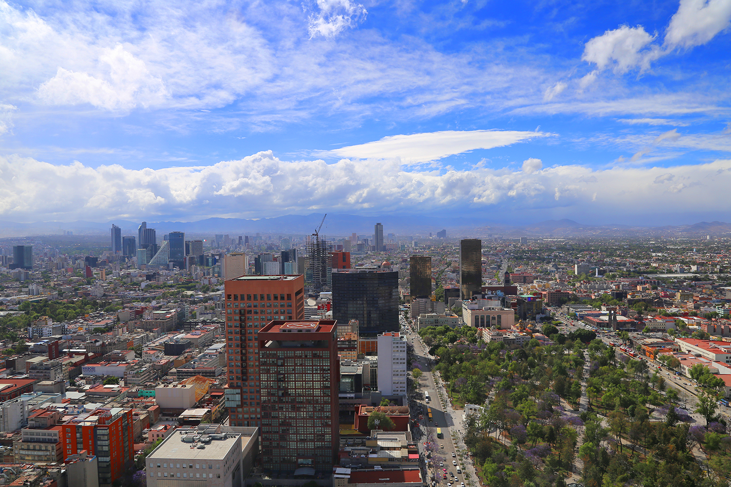 Nota sobre CDMX y Arizona buscarán una reactivación conjunta de actividades turísticas