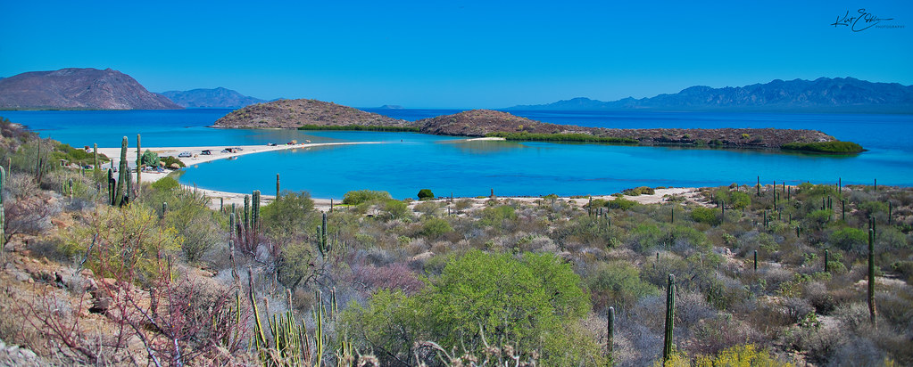 Nota sobre Baja California Sur en primavera: el mejor momento para explorar sus maravillas naturales