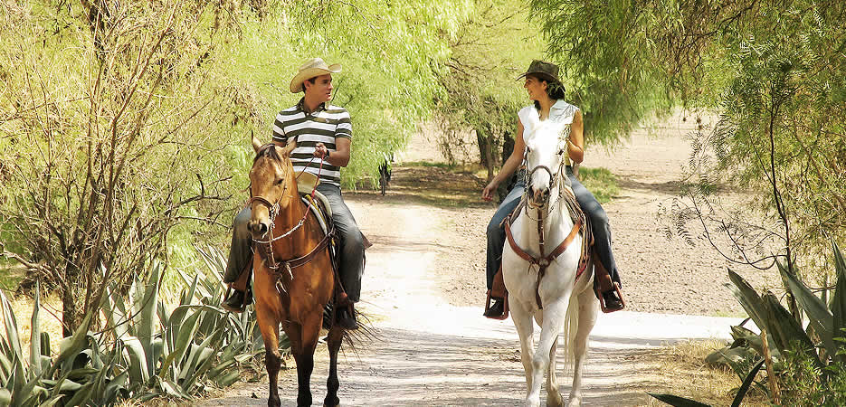 Nota sobre Hacienda La Magdalena