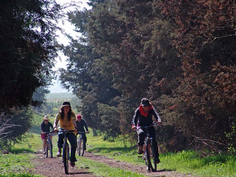 Nota sobre Hacienda La Purísima