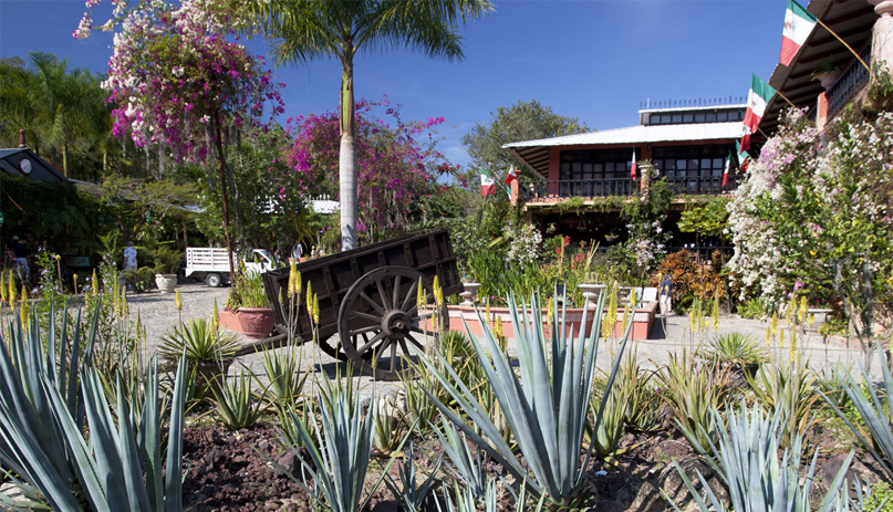 Nota sobre Haciendas tequileras de Mexico